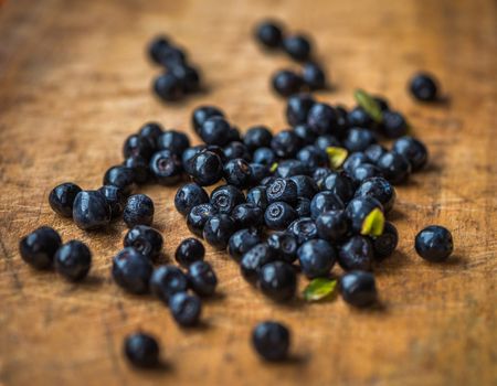 Fresh Blueberries Picked in the Forest on Wooden Background