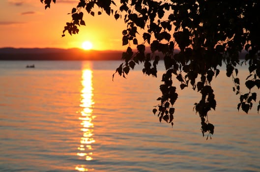 Silhouette, leaves of tree over the lake sunset in blurred background.beautiful landscape. sunset Image selective focus at the leaves of tree.