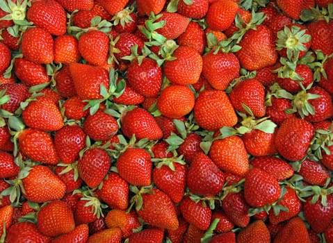 background from freshly harvested strawberries