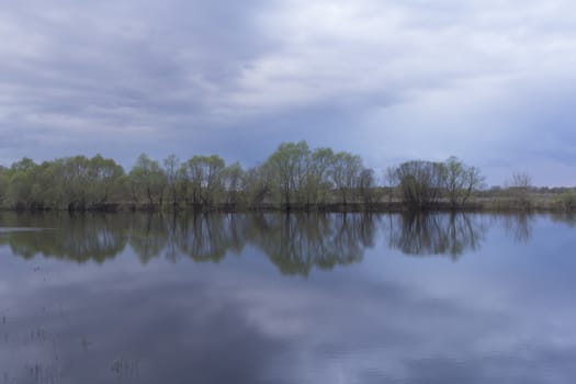 Reflection of birches tree in a lake