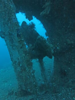 massive shipwreck, sits on a sandy seafloor in bali