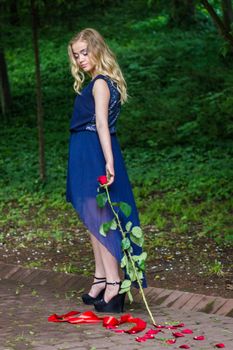 beautiful girl drags rose on the ground in the park