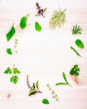 The circle of fresh herbs from the garden set up on white wooden background.