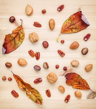 Different kinds of nuts walnuts kernels ,hazelnuts, almond kernels and pecan with dried orange leaves set up on rustic wooden background.