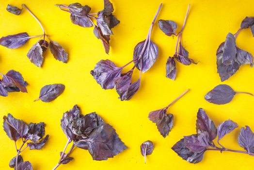 Purple basil on a yellow table horizontal