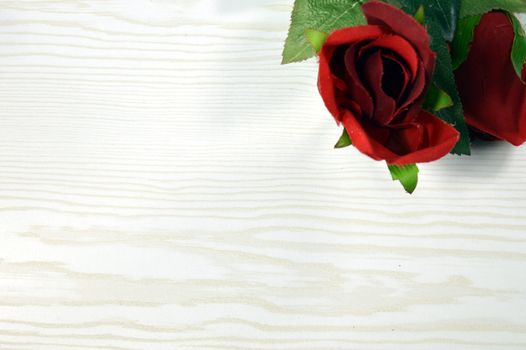 Red rose with wedge leaves on a white wood background