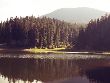 Lake Sinevir Carpathians summer in Ukraine. Rural nature in mountain