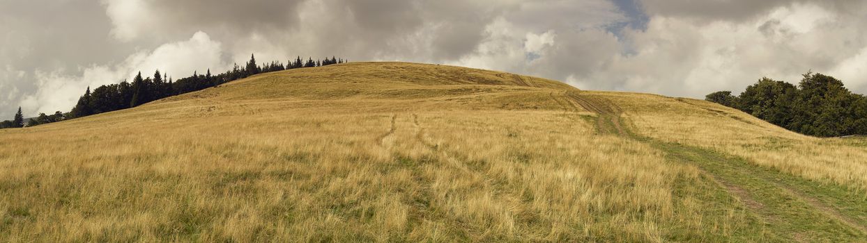 Wide panoramic scenic view at high mountain summer landscape in mountains  Carpathians, Ukraine