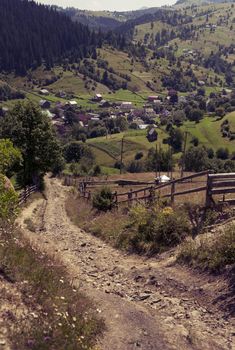 Rural nature in mountain. Path in wild forest