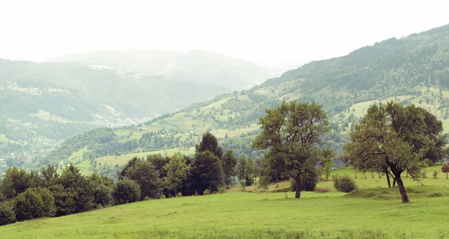 Wide panoramic scenic view at high mountain summer landscape in mountains  Carpathians, Ukraine