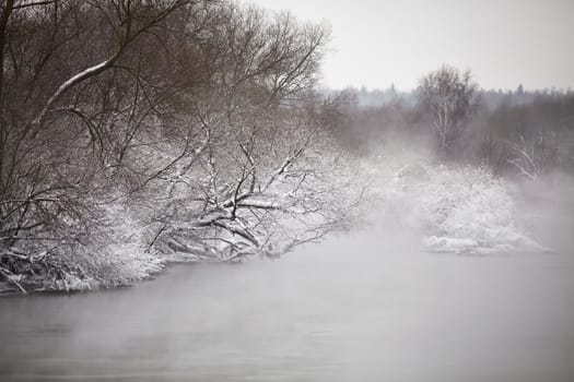 Snow and frost on the trees and bushes over misty river. Overcast snowy weather. 