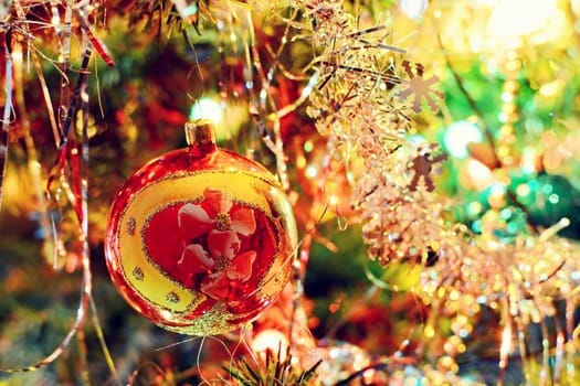 Red shiny christmas ornamental ball hangs on christmas tree.