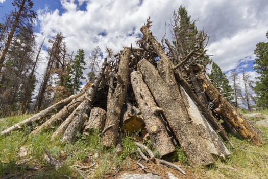 Wood arranged in a pile in Rocky Mountain National Park, Colorado.