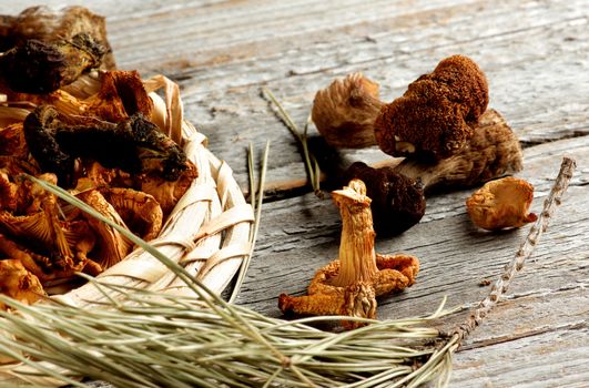 Arrangement of Forest Dried Mushrooms with Chanterelles, Porcini, Boletus Mushrooms and Dry Fir Branch closeup on Rustic Wooden background. Focus on Chanterelle