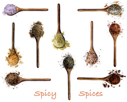 Collection of Various Spices with Inscription in Wooden Spoons: Kosher Salt, Curry Powder, Salt with Cayenne Pepper, Zira, Coriander, Thyme, Salt with Chili, Dried Paprika, Salt with Petals and Cumin Powder