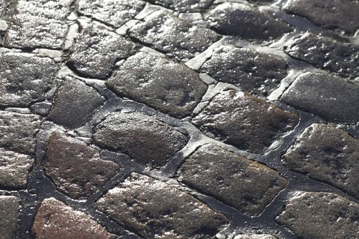 wet glittering paving stones on street
