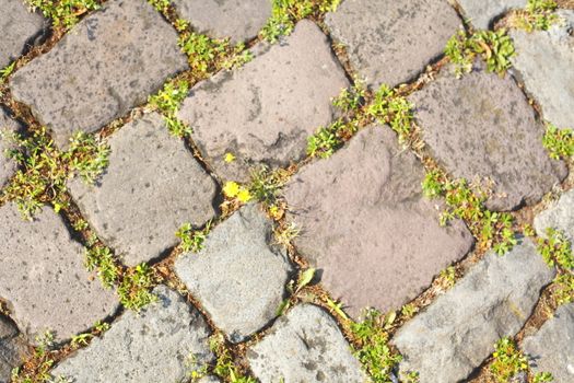 Paving Stones