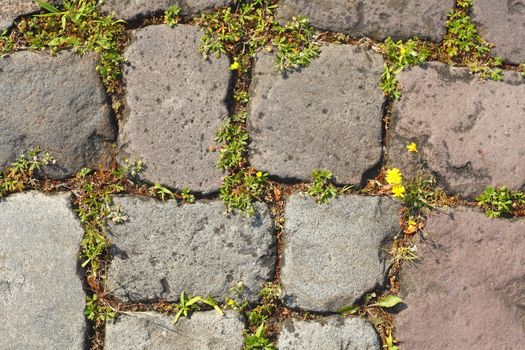 Paving Stones