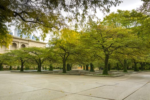 Art institute of Chicago South garden. a gridded bosque of cockspur hawthorn trees provide places to sit