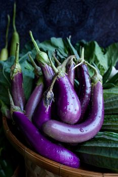 Fresh healthy eggplants on dark background.