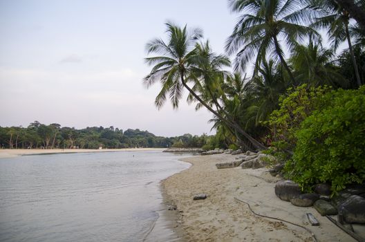 Tropical beach with palms in sentosa, Singapore