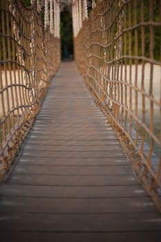 Cable bridge to the jungle in tropics