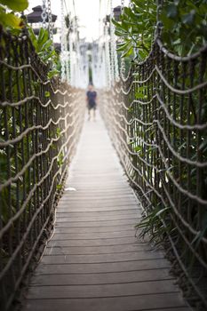 Cable bridge to the jungle in tropics