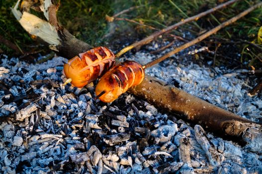 sausages roasted on the fire picnic