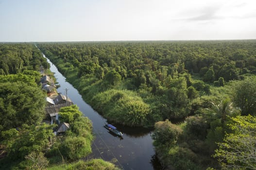 Aerial sunshine view of observatory of jungle