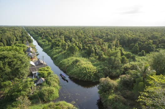 Aerial sunshine view of observatory of jungle