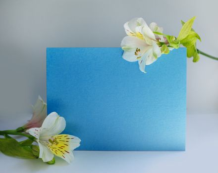 frame made of flowers and blue background for text.