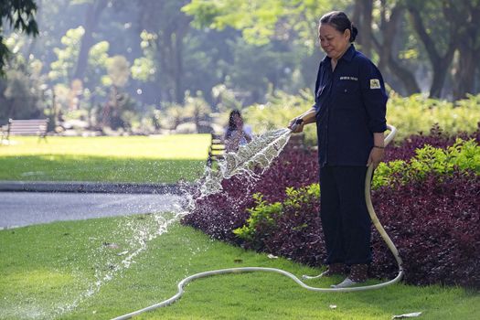 Unidentified Vietnamese woman with conical hat watering grass in a park.