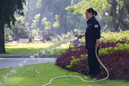 Unidentified Vietnamese woman with conical hat watering grass in a park.