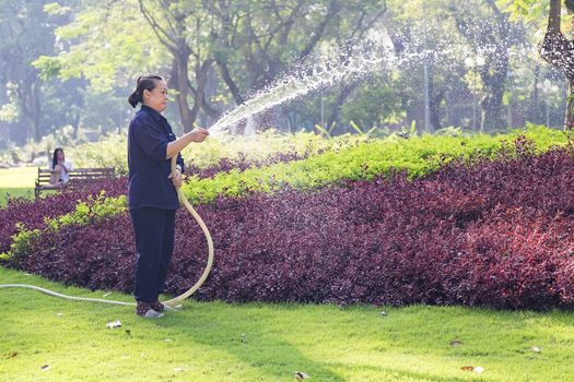 Unidentified Vietnamese woman with conical hat watering grass in a park.