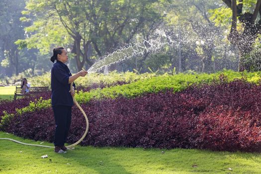 Unidentified Vietnamese woman with conical hat watering grass in a park.