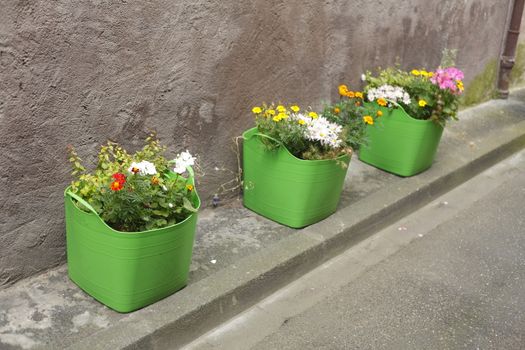 green flower pots on the footpath