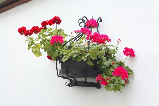 flower box on a house wall