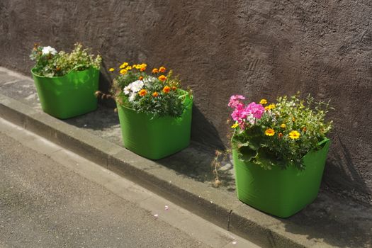 green flower pots on the footpath