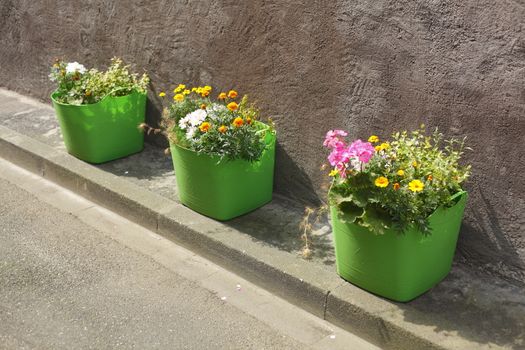 green flower pots on the footpath