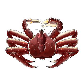 Seafood, isolated raster illustration on white background