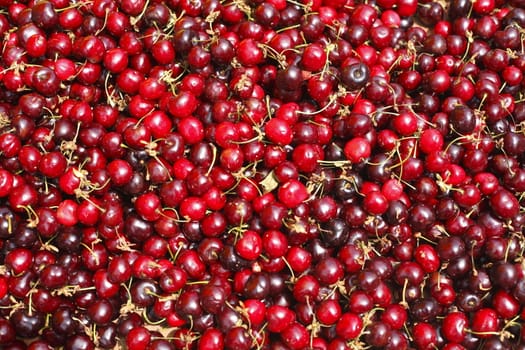 Cherries