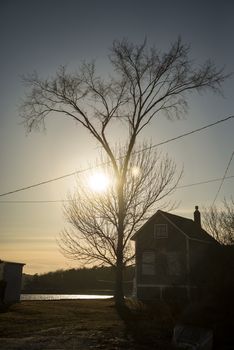 Silhouette of tree and a house at sunset in New England, USA