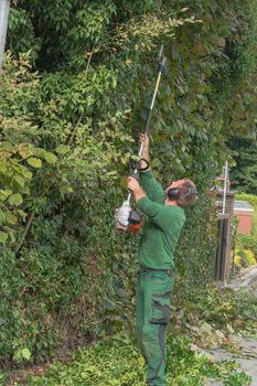 Schneiden einer Hecke mit einer Motor Heckenschere. 
