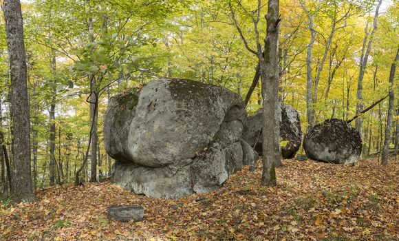 Large Precambrian Boulders in a Fall Forest - Algonquin Provincial Park, Ontario, Canada