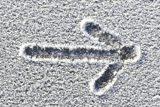 in the hoarfrost painted Arrow