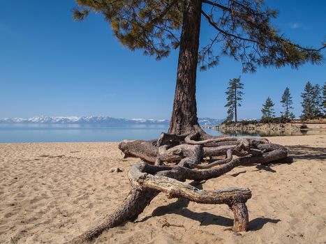 Scenic view of beautiful Lake Tahoe in Spring, landscape of the United States of America, clear water, nice sky, stone island, tree, fresh air and snow mountains