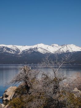 Scenic view of beautiful Lake Tahoe in Spring, landscape of the United States of America, clear water, nice sky, stone island, tree, fresh air and snow mountains