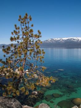 Scenic view of beautiful Lake Tahoe in Spring, landscape of the United States of America, clear water, nice sky, stone island, tree, fresh air and snow mountains