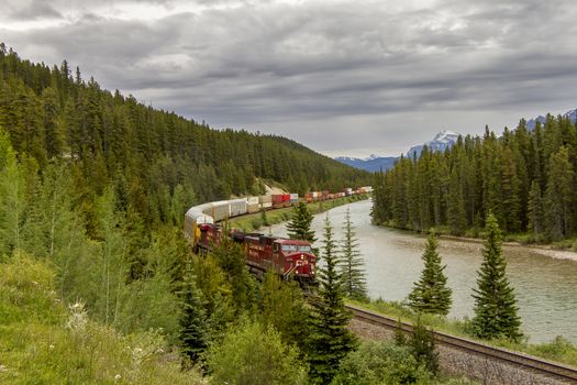 Canadian Pacific Freight Train Travelling Through the Bow Valley - Banff National Park, Alberta, Canada