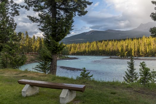 Bench overlooking Rocky Mountains and Athabasca River in evening - Jasper National Park, Alberta, Canada